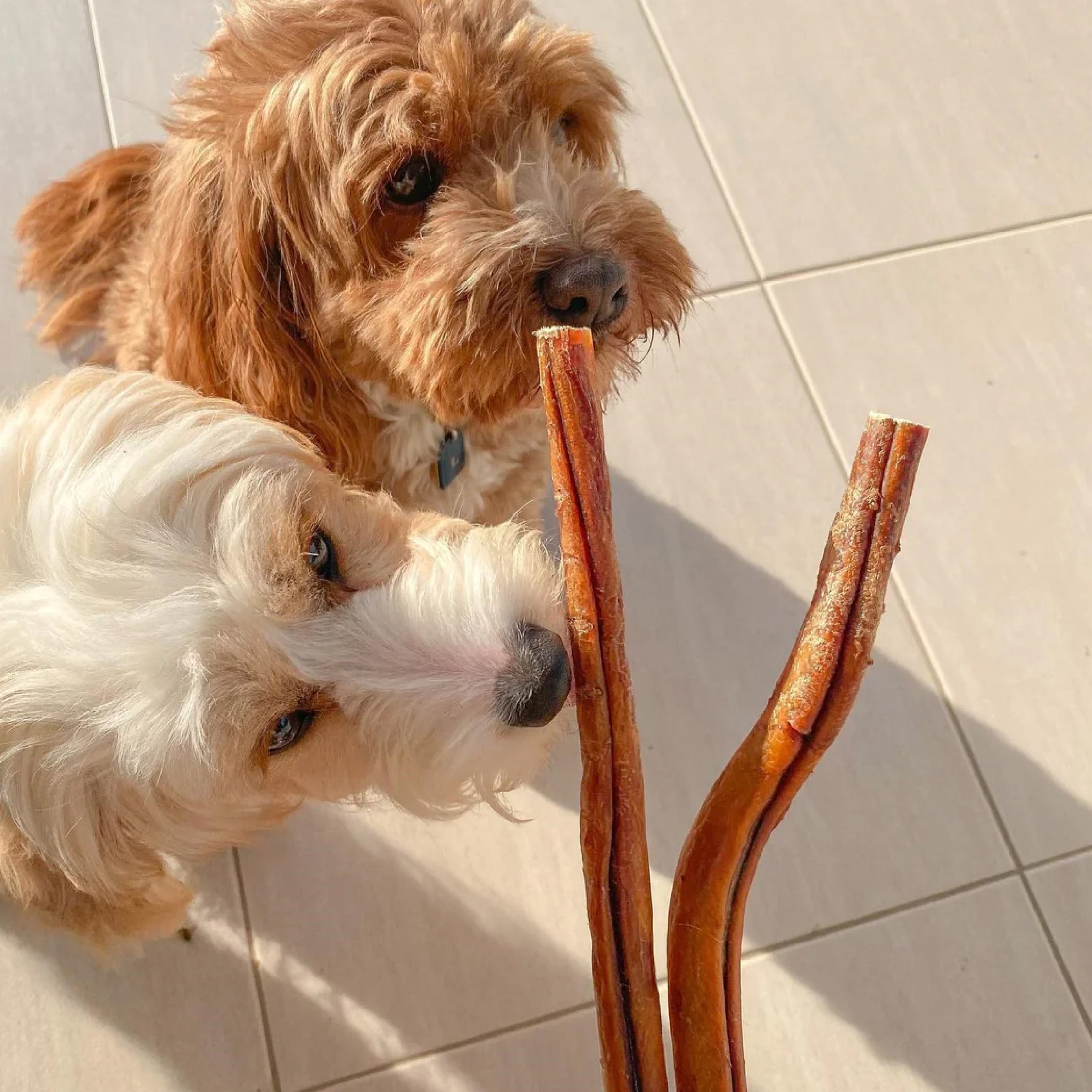 Beef Pizzle / Bully Stick - Dog treat